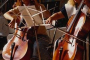 violoncello1_2